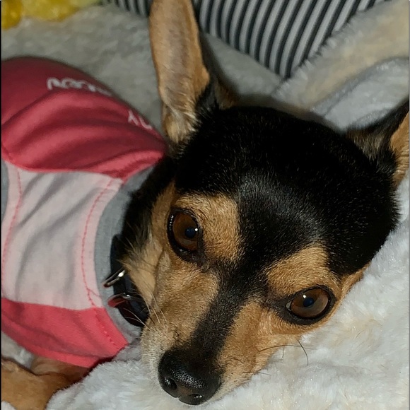 Posh Ambassador 🛍Buyer, Seller, & Stylist - Picture 8 of 12